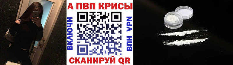 Где купить Большой Камень Галлюциногенные грибы  A-PVP  Codein  Каннабис  ГАШ  кракен ONION  Меф мяу мяу 