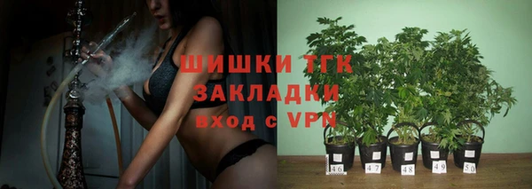 экстази Богданович