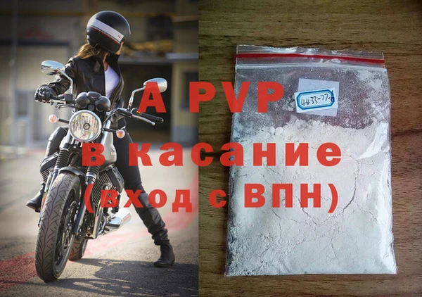 экстази Богданович