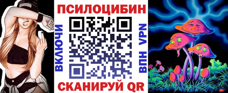 Галлюциногенные грибы Psilocybe  ссылка на мегу ONION  Большой Камень 