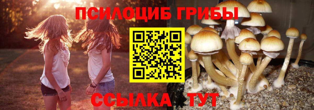 Галлюциногенные грибы мухоморы  Вход с VPN  Большой Камень  Галлюциногенные грибы Psilocybe 