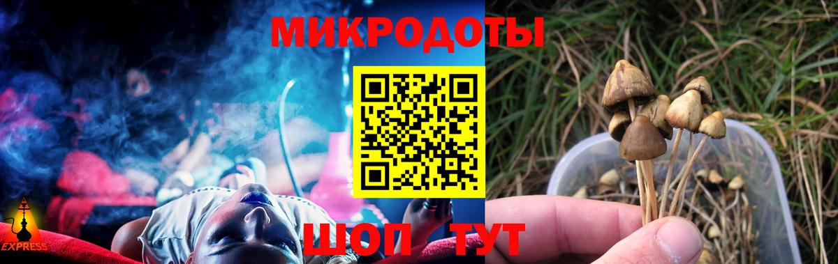 Псилоцибиновые грибы Psilocybine cubensis Большой Камень