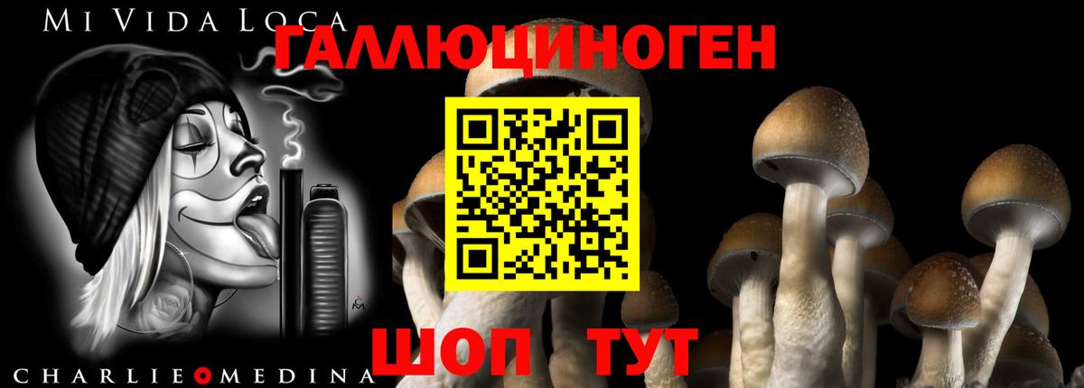 Псилоцибиновые грибы ЛСД  Большой Камень  наркотики  Псилоцибиновые грибы Psilocybe 